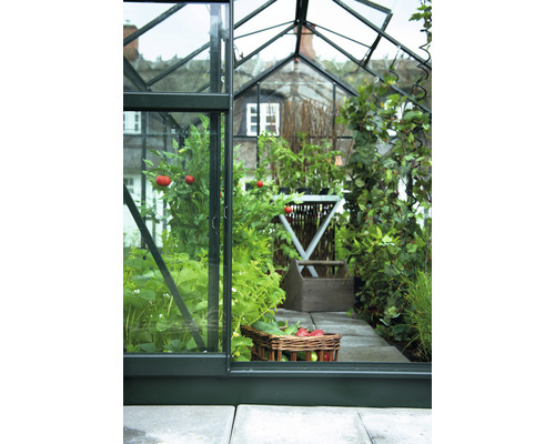 Seră cu legume și plante în interior, prezentată printr-o ușă deschisă