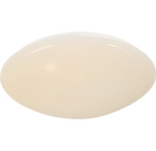 Lumină de plafon ovală