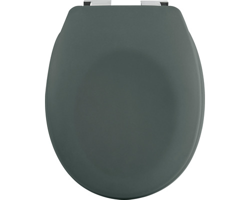 Capac de toaletă din plastic