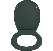 Scaun WC deschis din plastic