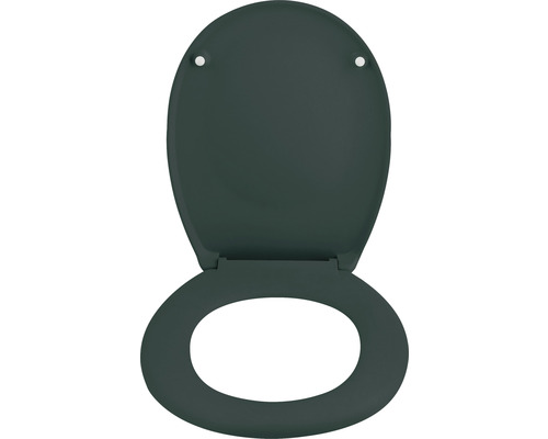 Scaun WC deschis din plastic