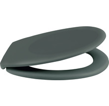 Capac de toaletă din plastic