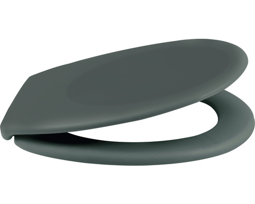 Capac de toaletă din plastic