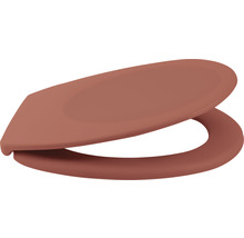 Capac WC din plastic