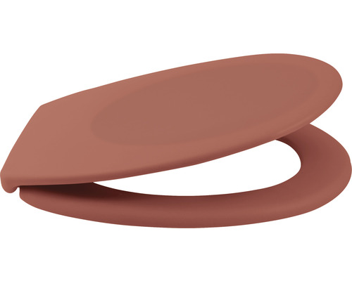 Capac WC din plastic