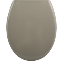 Capac de toaletă din plastic