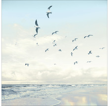 Tablou sticlă Seagulls On The Beach 50x50 cm-thumb-0