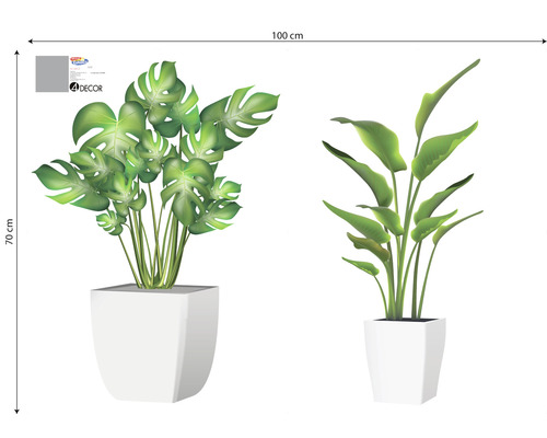 Ilustrație cu două plante în ghivece albe cu dimensiunile de 100 cm pe 70 cm.