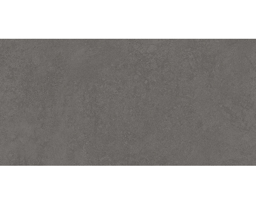 Faianță baie / bucătărie Reflex D Grey SW 5104 DK rectificată 30x60 cm