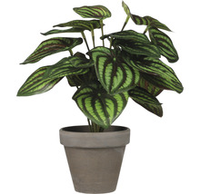 Plantă artificială Peperomia în ghiveci