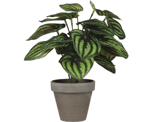 Plantă artificială Peperomia în ghiveci
