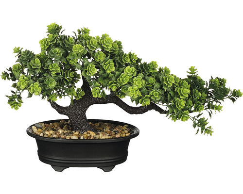 Bonsai artificial în ghiveci MICA H 21 cm verde aspect | HORNBACH