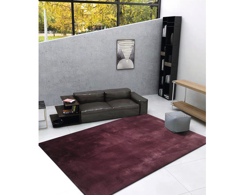 Cameră de zi cu canapea, bibliotecă și covor bordo