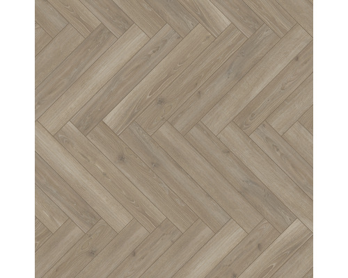 Parchet laminat PARADOR 8 mm Source Oak