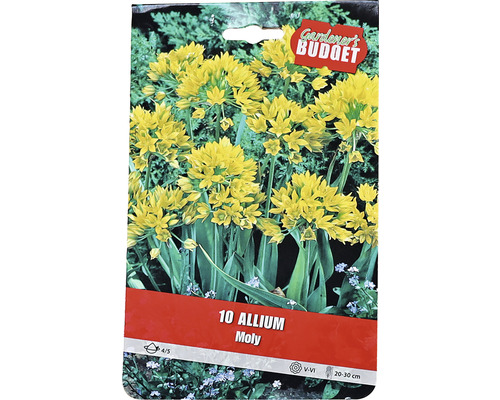 Pachet bulbi de flori Allium Moly