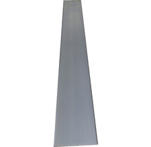 O singură bandă metalică gri.