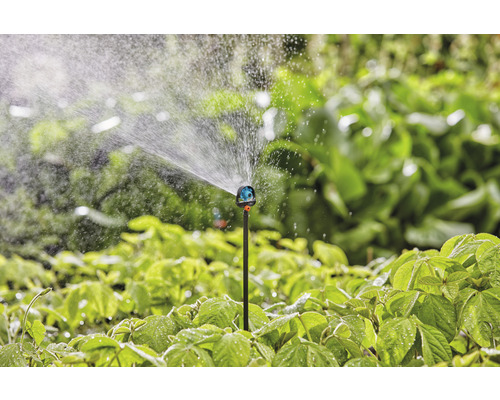 Scenă de grădină cu aspersor de gazon care udă plantele