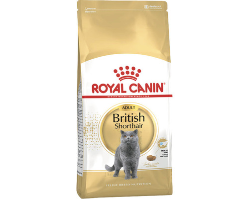 Royal Canin Adult British Shorthair hrană pentru pisici