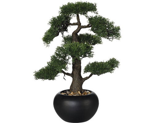 Plantă artificială Bonsai Zada în ghiveci H 48 cm verde | HORNBACH