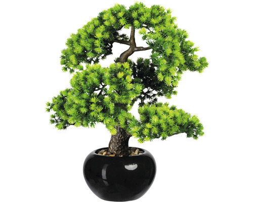 Plantă artificială Bonsai Zada 7 trunchiuri în ghiveci H | HORNBACH
