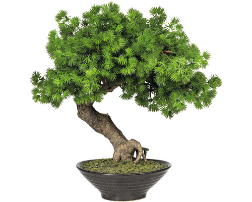 Plantă artificială Bonsai Zada în ghiveci H 37 cm verde | HORNBACH