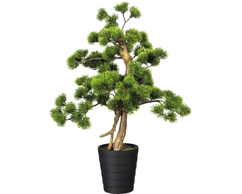 Plantă artificială Bonsai Kiefer în ghiveci H 60 cm verde | HORNBACH