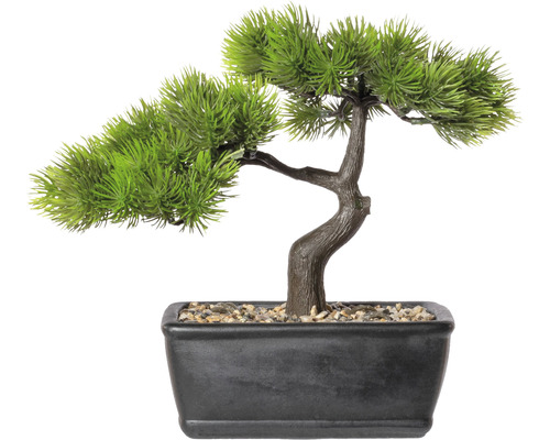Plantă artificială Bonsai Zada în ghiveci 23x25 cm verde | HORNBACH
