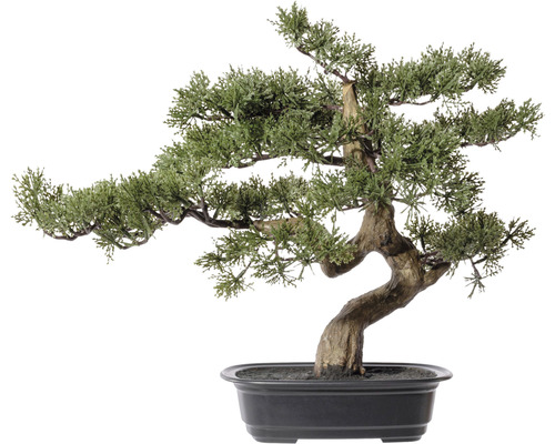 Plantă artificială Bonsai Zada în ghiveci H 40 cm verde | HORNBACH