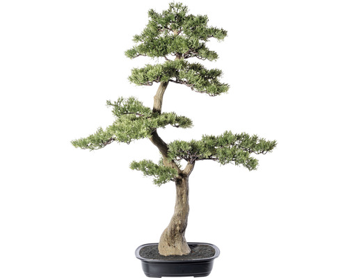 Plantă artificială Bonsai Zada în ghiveci H 100 cm verde | HORNBACH