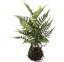 Ferigă artificială cu balot de rădăcini ca decor