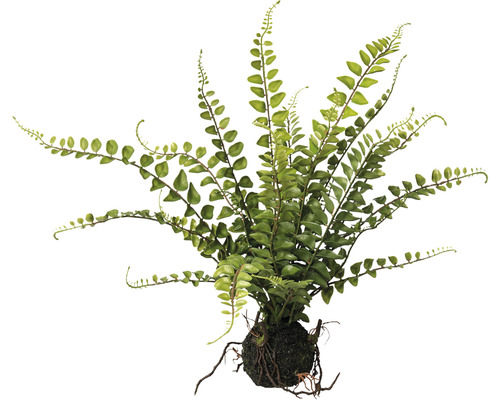 Plantă artificială Ferigă balot H 43 cm verde