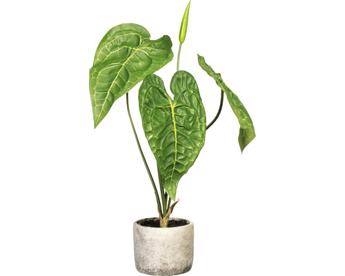 Plantă artificială Anthurium în ghiveci H 60 cm verde