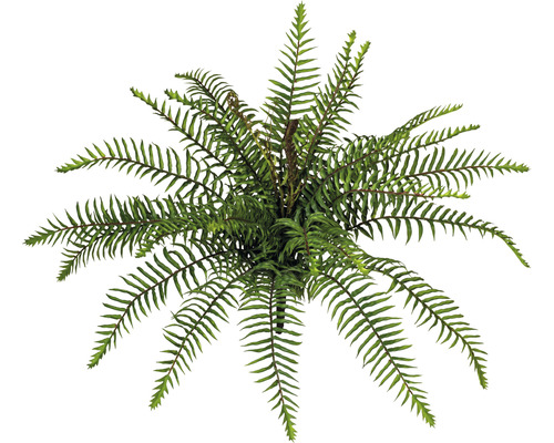 Plantă artificială Ferigă sălbatică H 45 cm verde