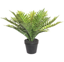 Ferigă artificială în ghiveci negru