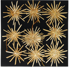 Stele din paie pe fundal negru