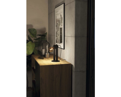 Lampă de masă decorativă pe un dulap de lemn cu plantă de interior și imagine înrămată