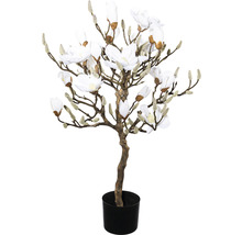 Arbore decorativ de magnolie în ghiveci ca plantă artificială