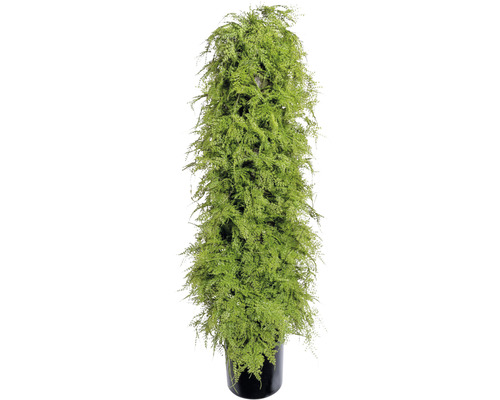 Plantă artificială Ferigă Asparagus în ghiveci H 120 cm verde