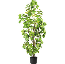 Plantă artificială Eucalipt în ghiveci H 120 cm