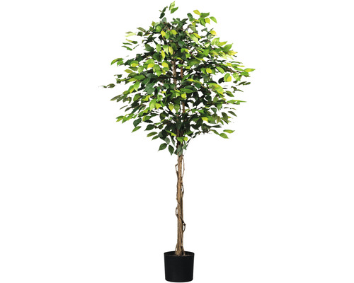 Plantă artificială Ficus benjamina în ghiveci H 180 cm 1008 frunze verde