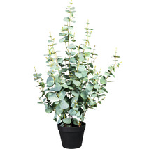 Plantă artificială Eucalipt în ghiveci H 80 cm verde