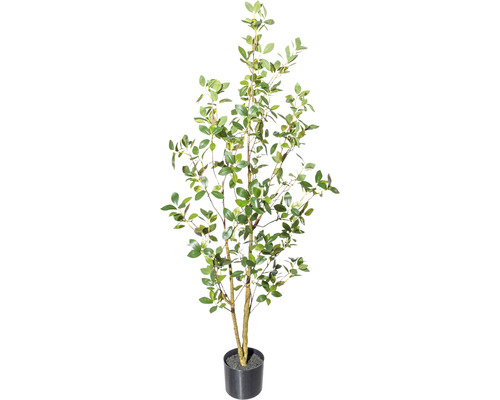 Plantă artificială Ficus ginseng H 130 cm verde