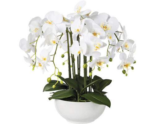 Plantă artificială Orhidee fluture Phalaenopsis în ghiveci H 54 cm alb