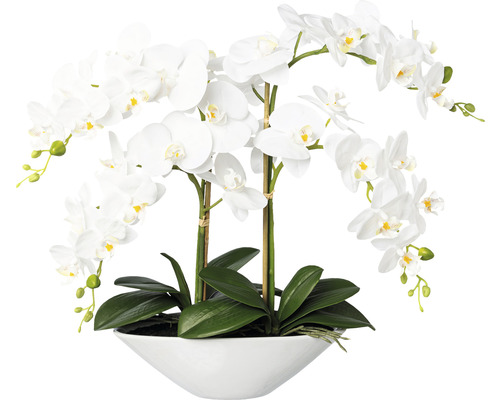 Plantă artificială Orhidee fluture Phalaenopsis în ghiveci H 53 cm alb