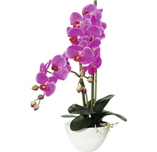 Plantă artificială Orhidee fluture Phalaenopsis în ghiveci H 50 cm lila