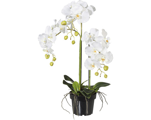 Plantă artificială Orhidee fluture Phalaenopsis în ghiveci H 62 cm alb