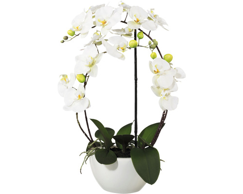 Plantă artificială Orhidee fluture Phalaenopsis în vas ceramic H 52 cm alb
