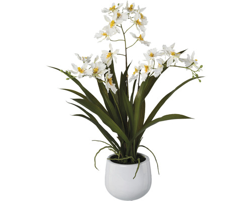 Plantă artificială Orhidee Gambia în vas ceramic H 50 cm alb