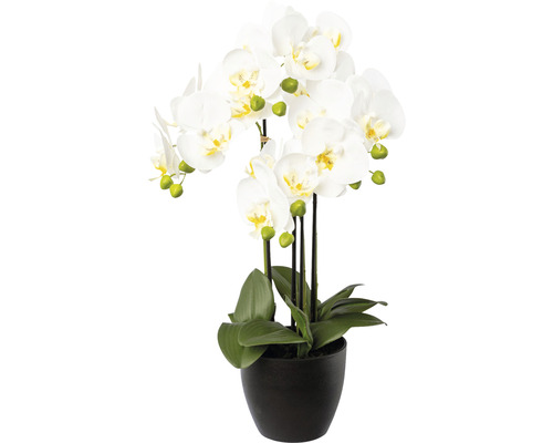 Plantă artificială Orhidee fluture Phalaenopsis în vas ceramic H 55 cm alb Orhidee albă artificială în ghiveci negru ca decor