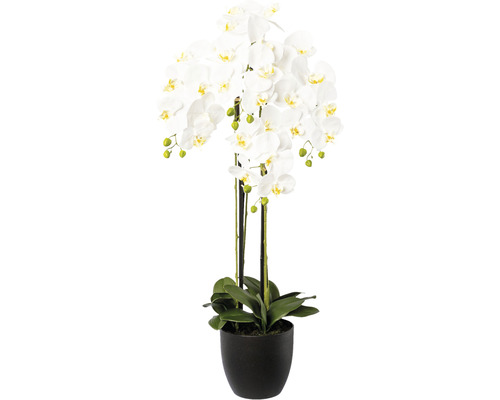 Plantă artificială Orhidee fluture Phalaenopsis în vas ceramic H 99 cm alb
